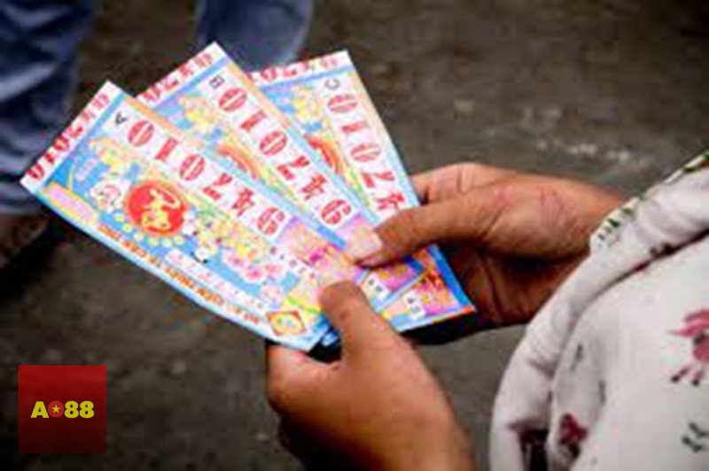 Cách chơi bầu cua - Có nên đặt một cửa hay chia tiền nhiều cửa? Cách chơi bầu cua - Có nên đặt một cửa hay chia tiền nhiều cửa?